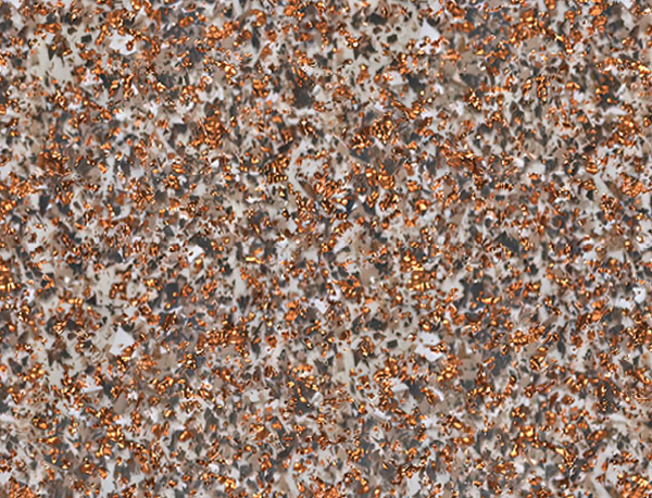 Coastal Bronze